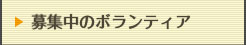 募集中のボランティア