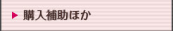 購入補助ほか