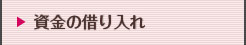 資金の借り入れ